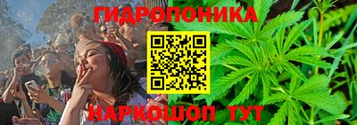 шишки Пыть-Ях