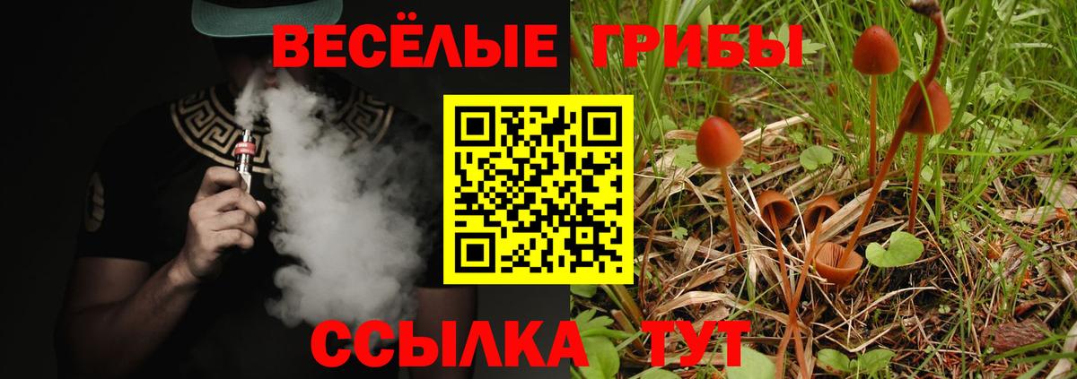 A PVP Дюртюли