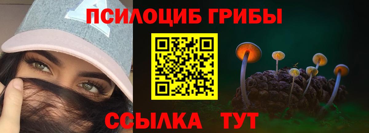 Галлюциногенные грибы Magic Shrooms  Вход с VPN  Дюртюли 